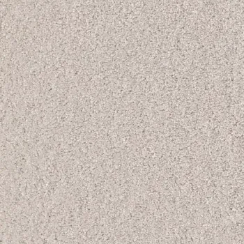 Draufsicht Girloon Cloud 815 Velours Teppichboden